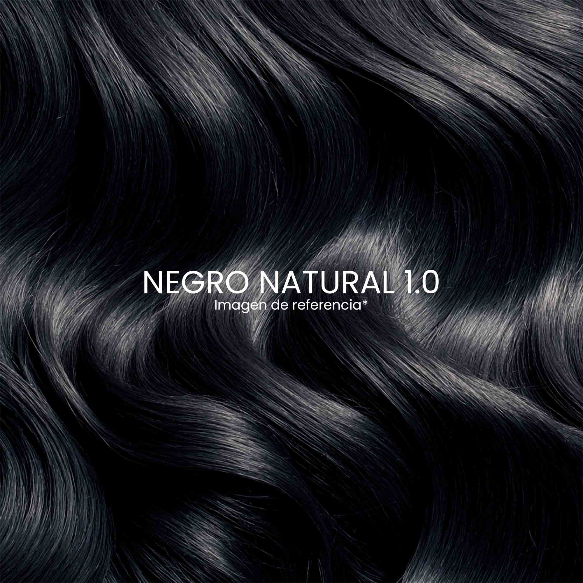 Tinte Meicys Professional Colors 1.0 Negro Natural x75ml